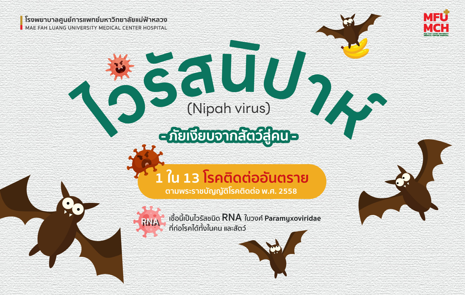 ทำความรู้จัก 