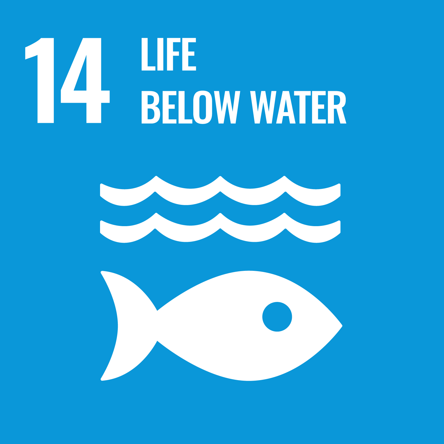 SDGs 14 Life Below Water