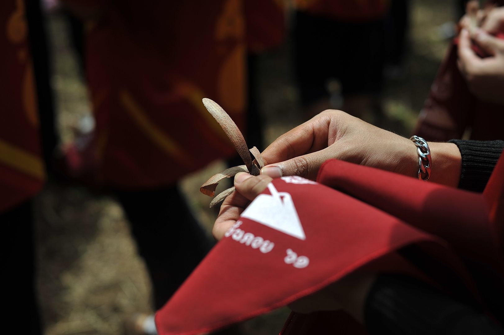 MFU News : MFU_walk_to_the_top__16_.JPG