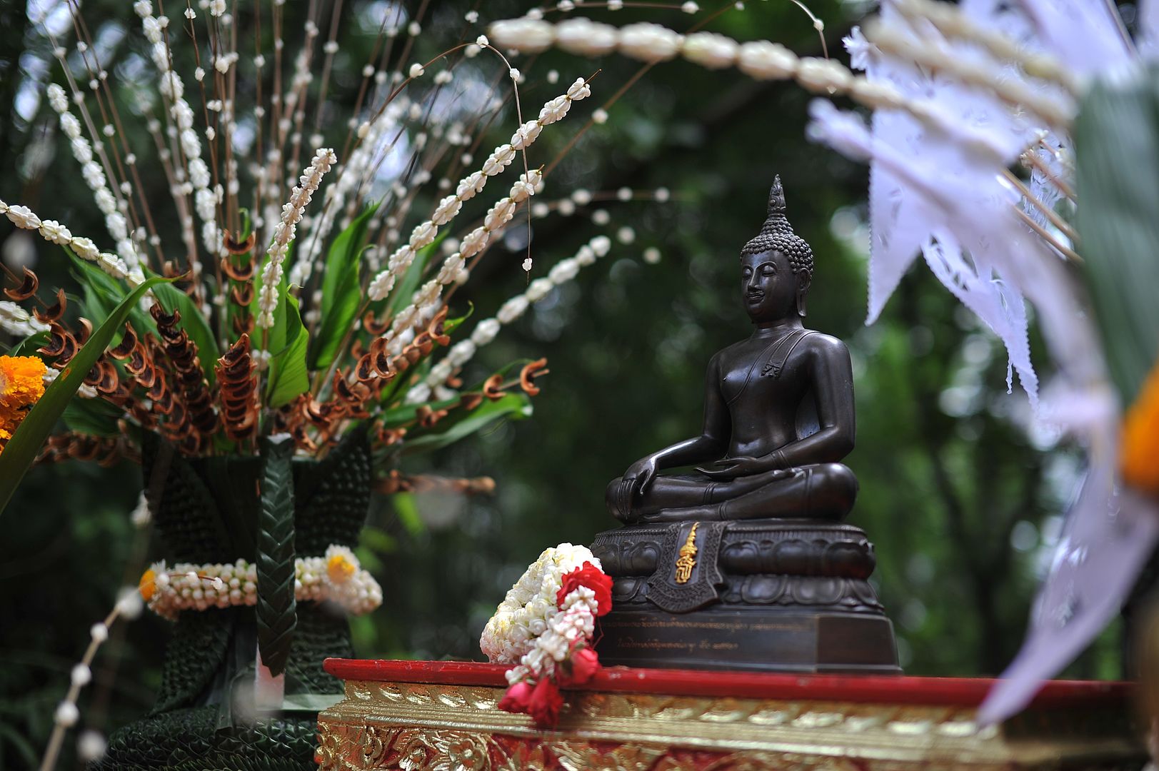 MFU News : MFU_walk_to_the_top__6_.JPG