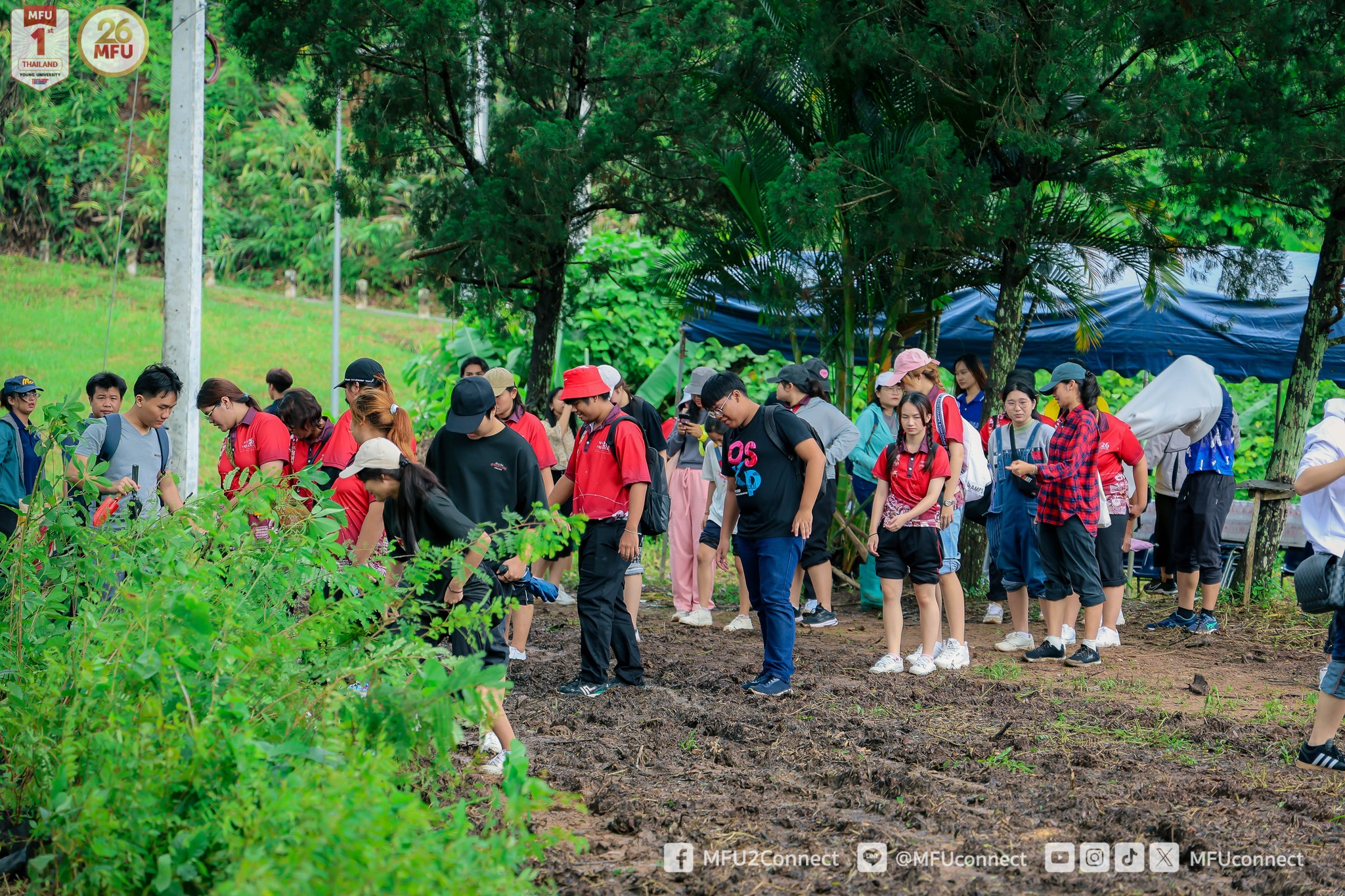 MFU News : 453622407_822966659963665_4489412734597416163_n.jpg