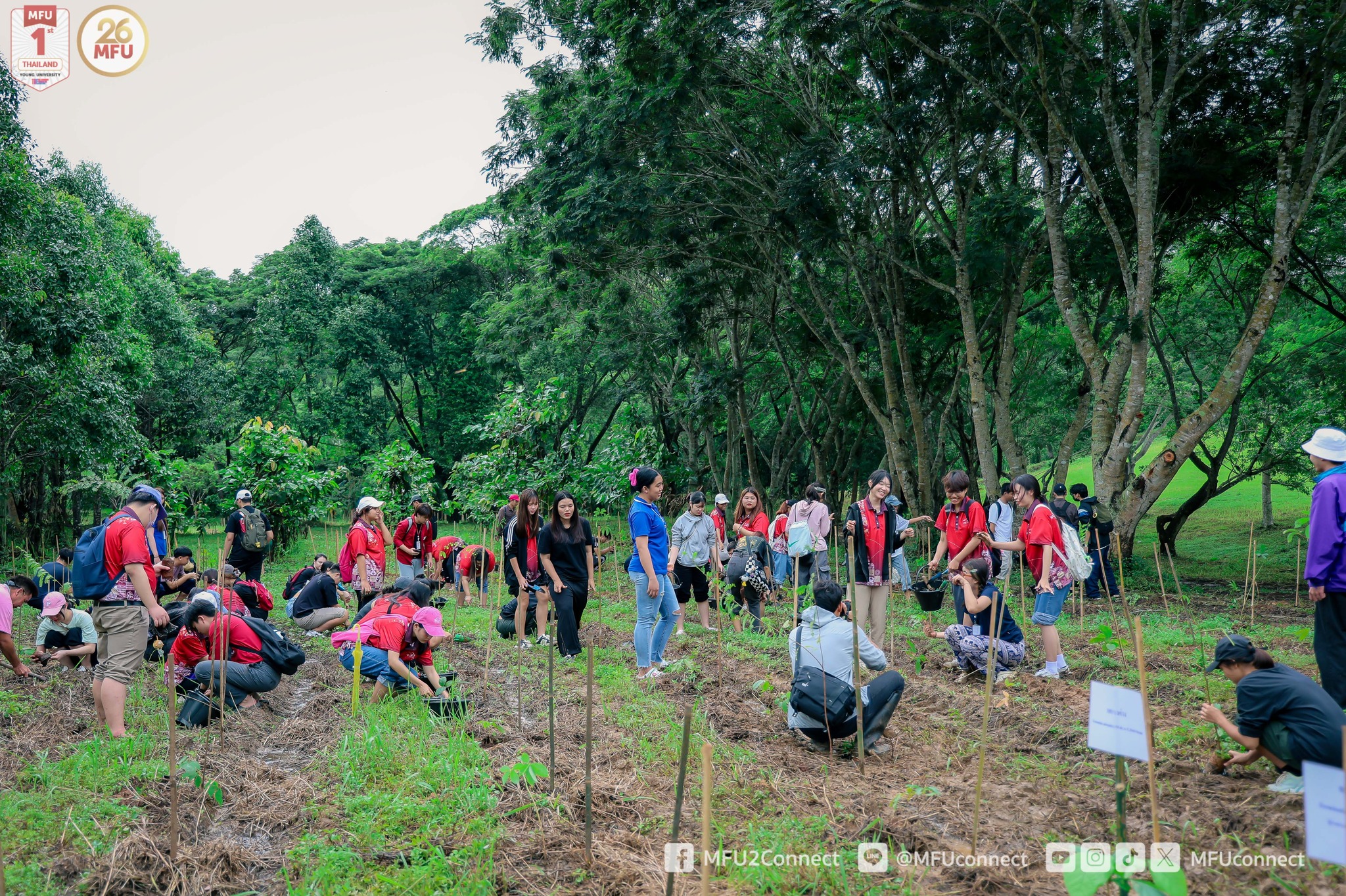 MFU News : MFU_Restore_Forest_2024__11_.jpg