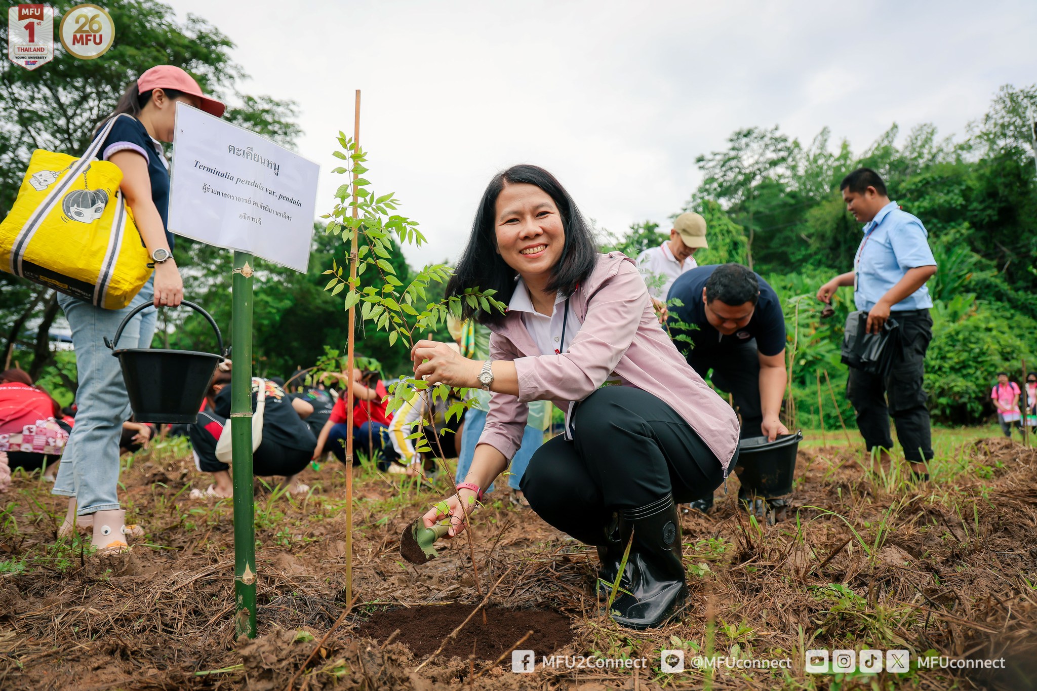 MFU News : MFU_Restore_Forest_2024__2_.jpg