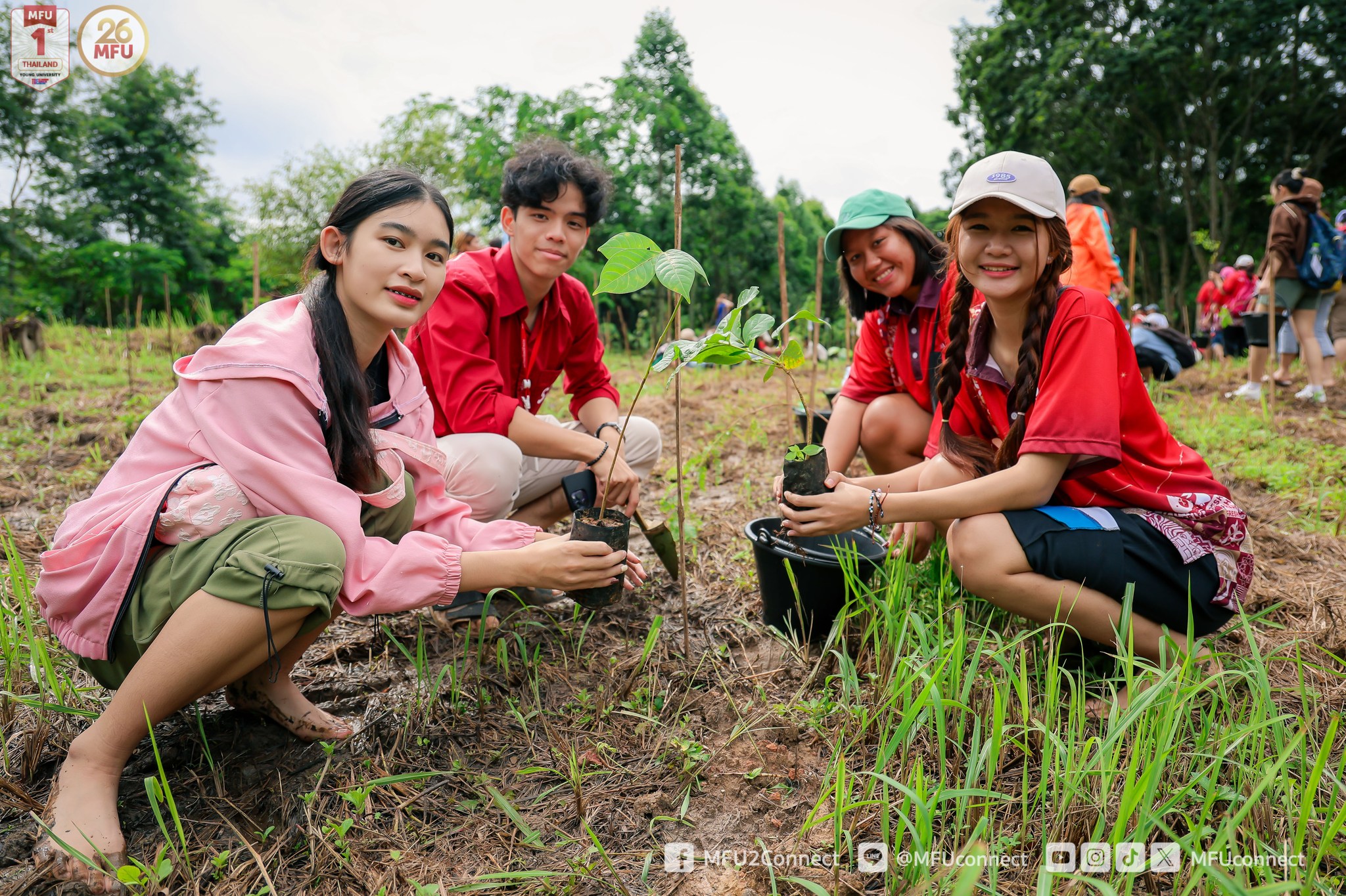 MFU News : MFU_Restore_Forest_2024__7_.jpg