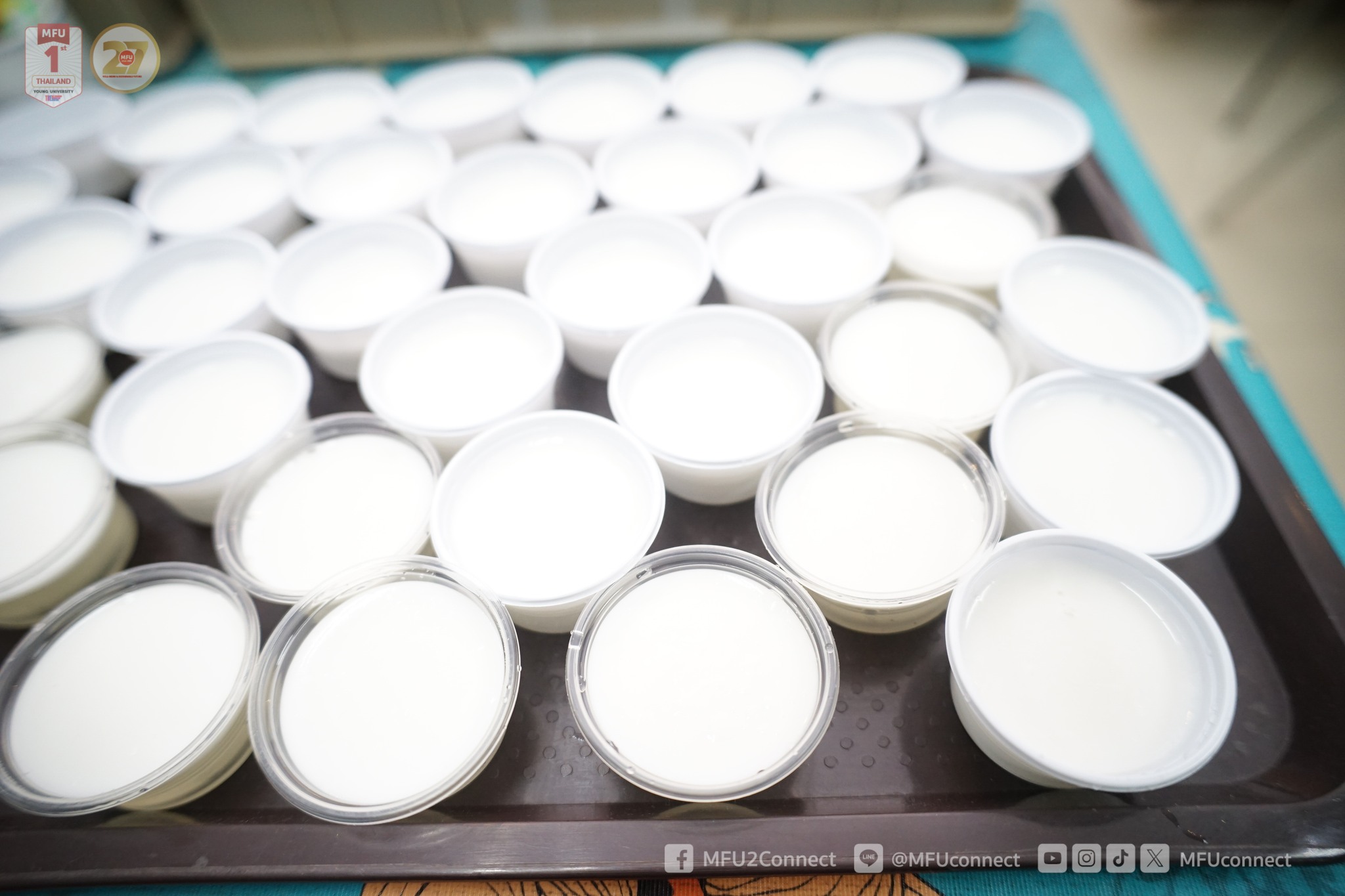 MFU News : Library_Specialnight_Midterm_1-2568__12_.jpg