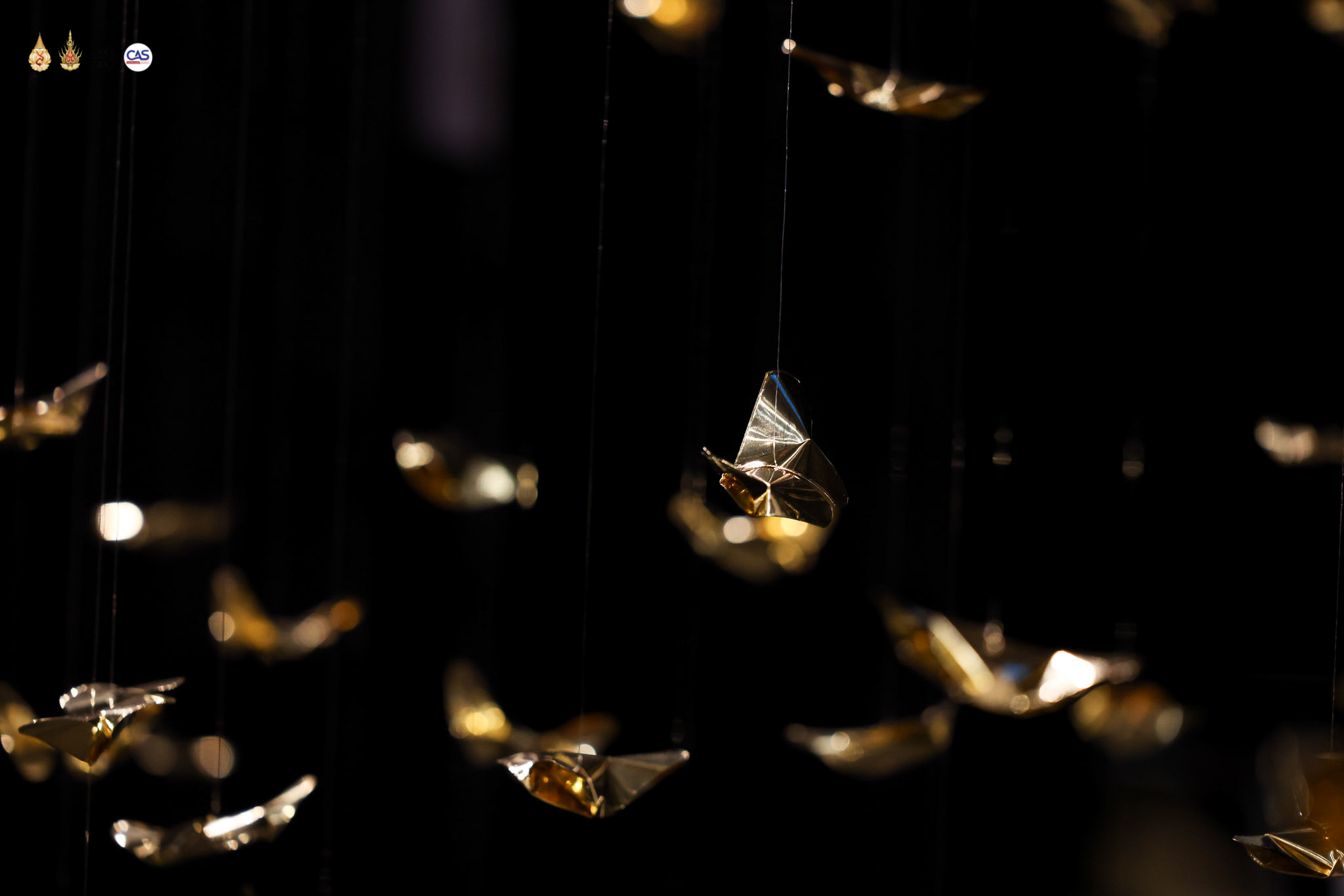 MFU News : 625681564_1491081486352479_5647029664606445550_n.jpg