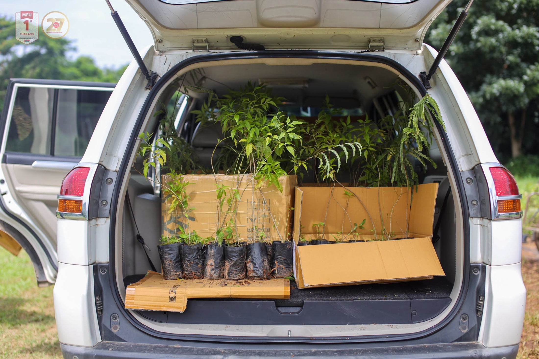 MFU News : Free_Tree_Seedlings_for_Tan_Ha_Day_2026___11_.jpg