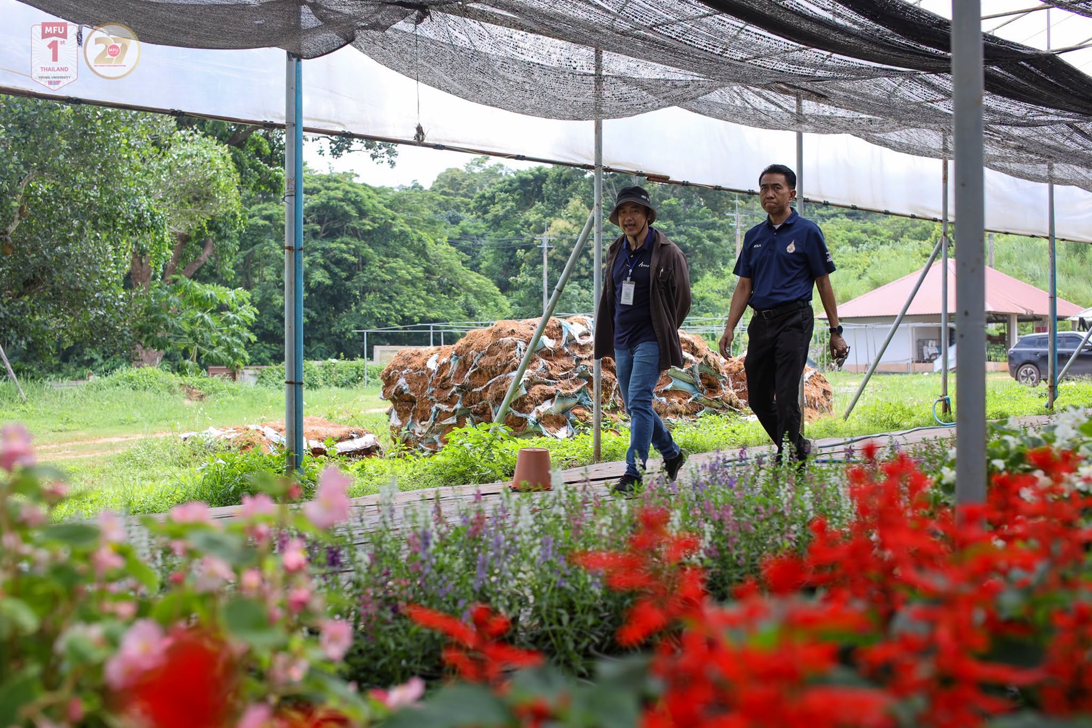 MFU News : Free_Tree_Seedlings_for_Tan_Ha_Day_2026___4_.jpg
