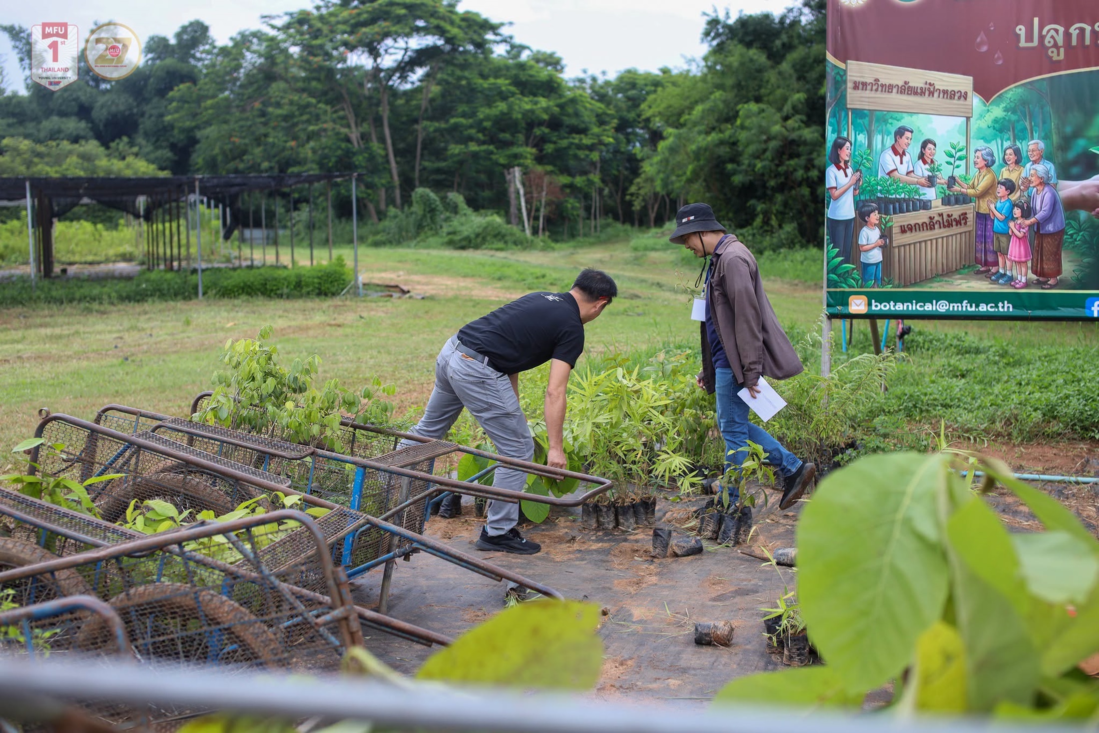 MFU News : Free_Tree_Seedlings_for_Tan_Ha_Day_2026___6_.jpg