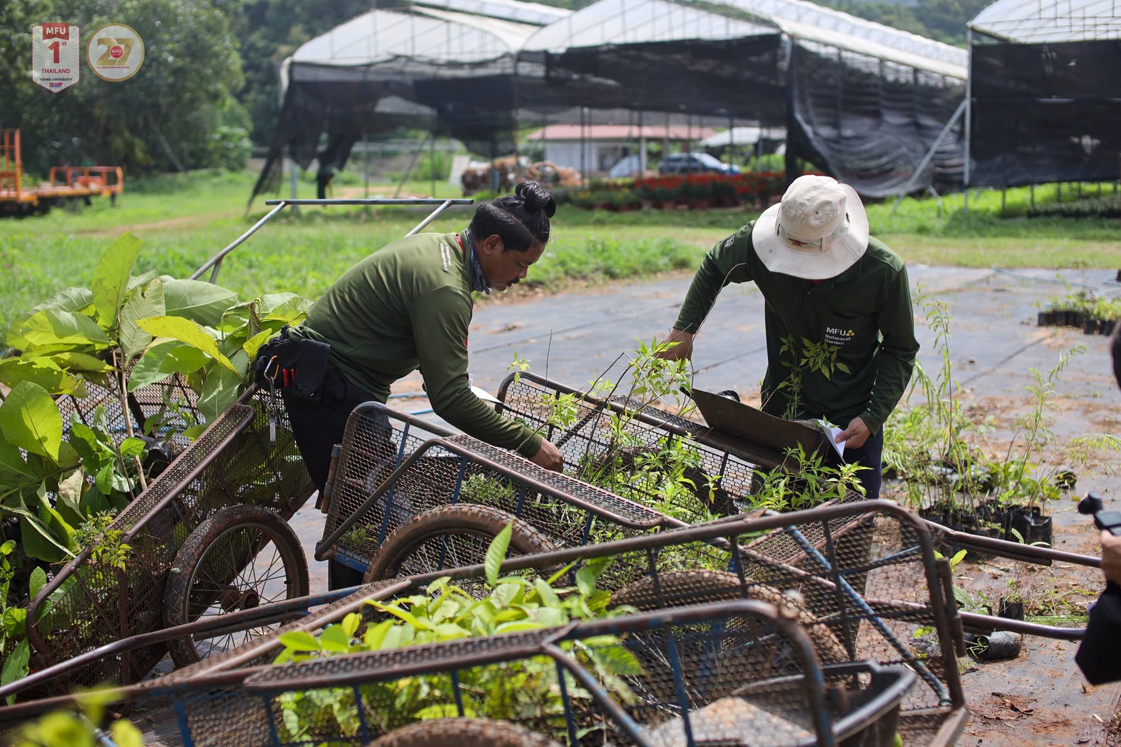 MFU News : Free_Tree_Seedlings_for_Tan_Ha_Day_2026___7_.jpg