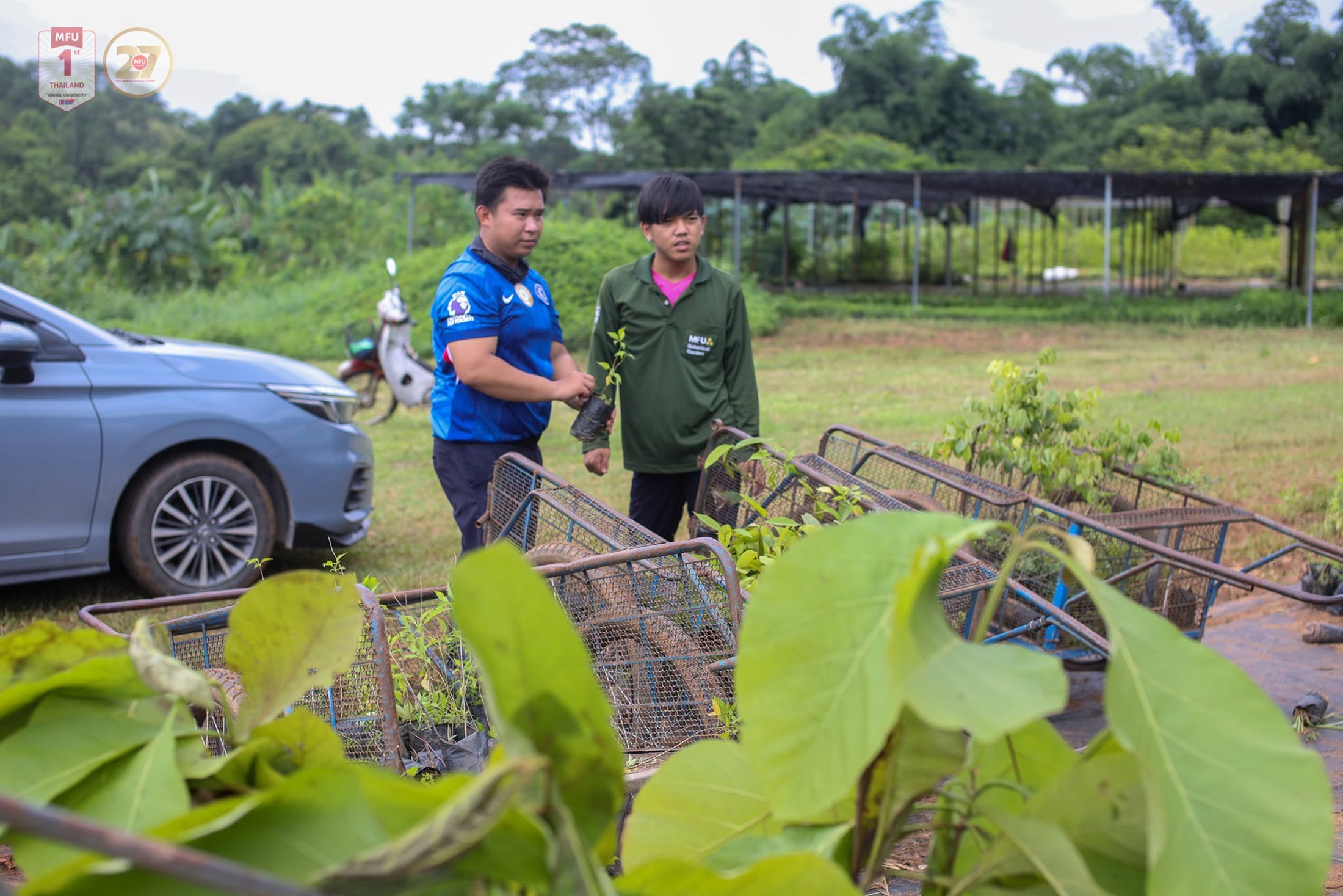 MFU News : Free_Tree_Seedlings_for_Tan_Ha_Day_2026___8_.jpg