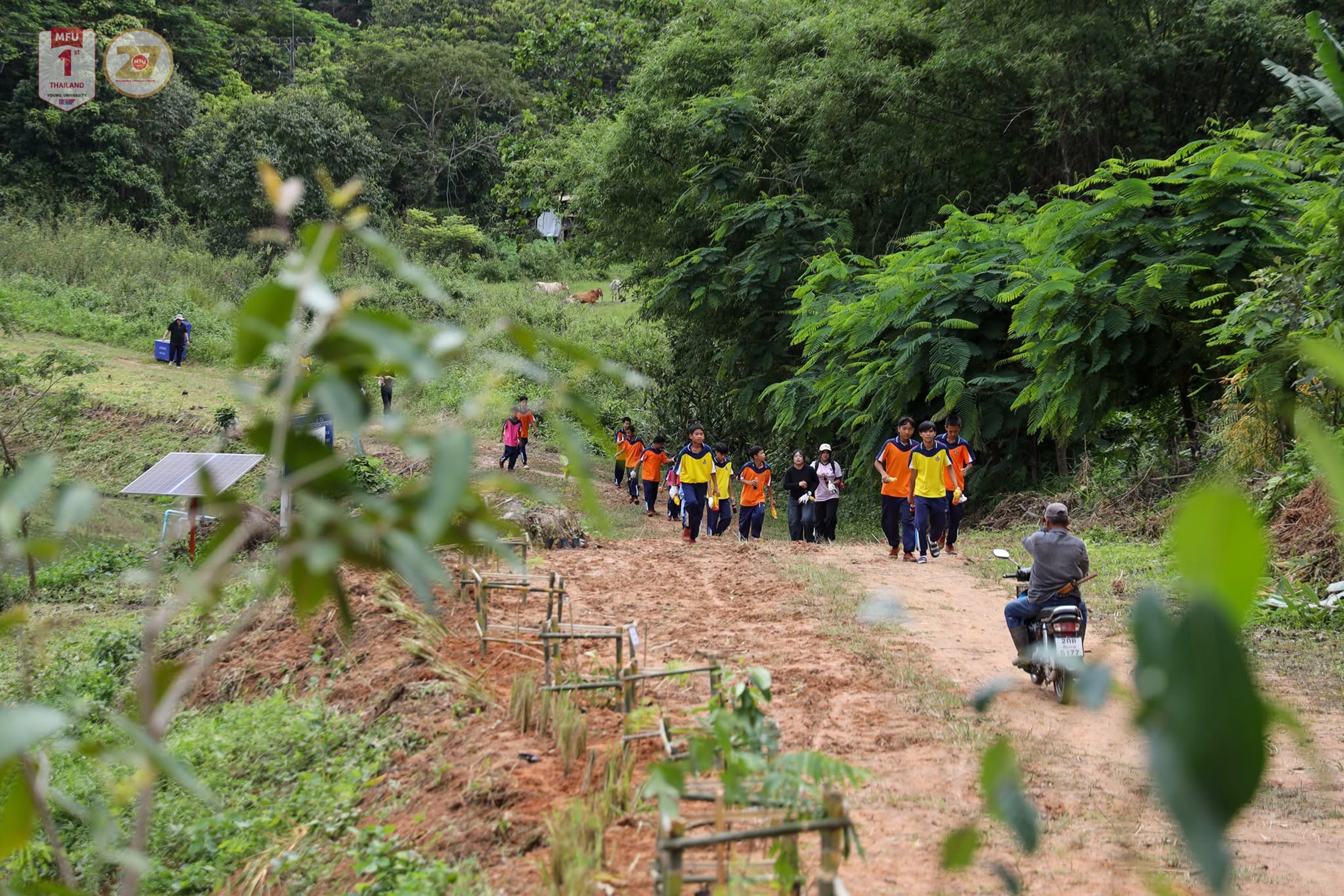 MFU News : MFU_Partners_Nang_Lae_Plant_Trees__10_.jpg